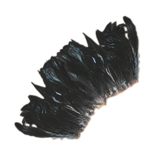 Rooster Tail Feathers