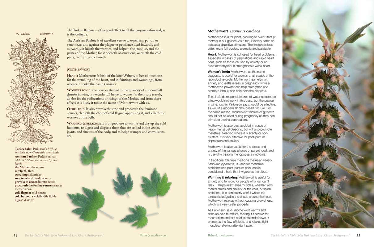 Herbalist's Bible by Julie Bruton-Seal and Matthew Seal