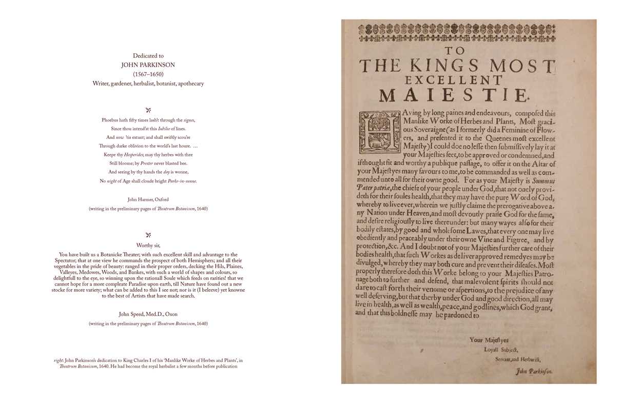 Herbalist's Bible by Julie Bruton-Seal and Matthew Seal