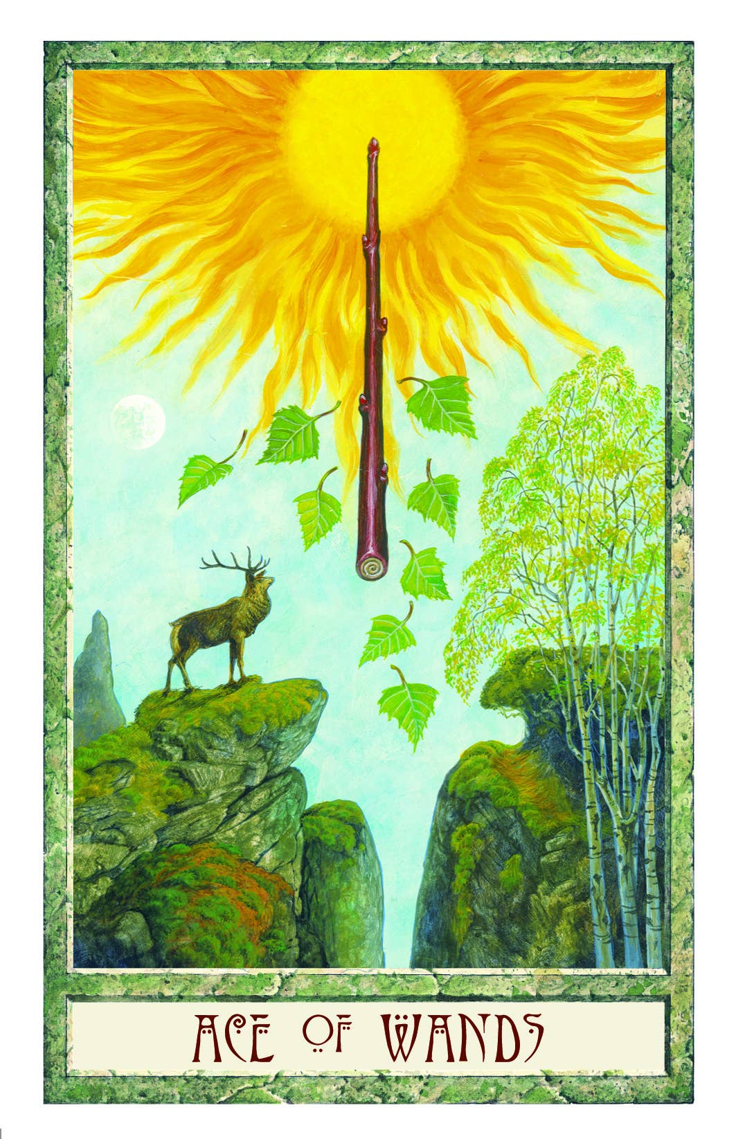The Druidcraft Tarot