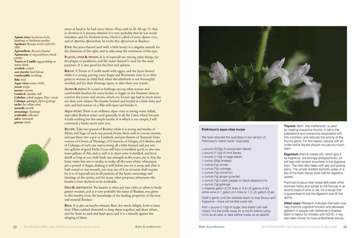 Herbalist's Bible by Julie Bruton-Seal and Matthew Seal