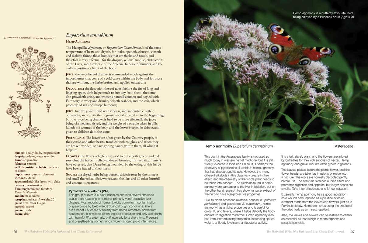 Herbalist's Bible by Julie Bruton-Seal and Matthew Seal
