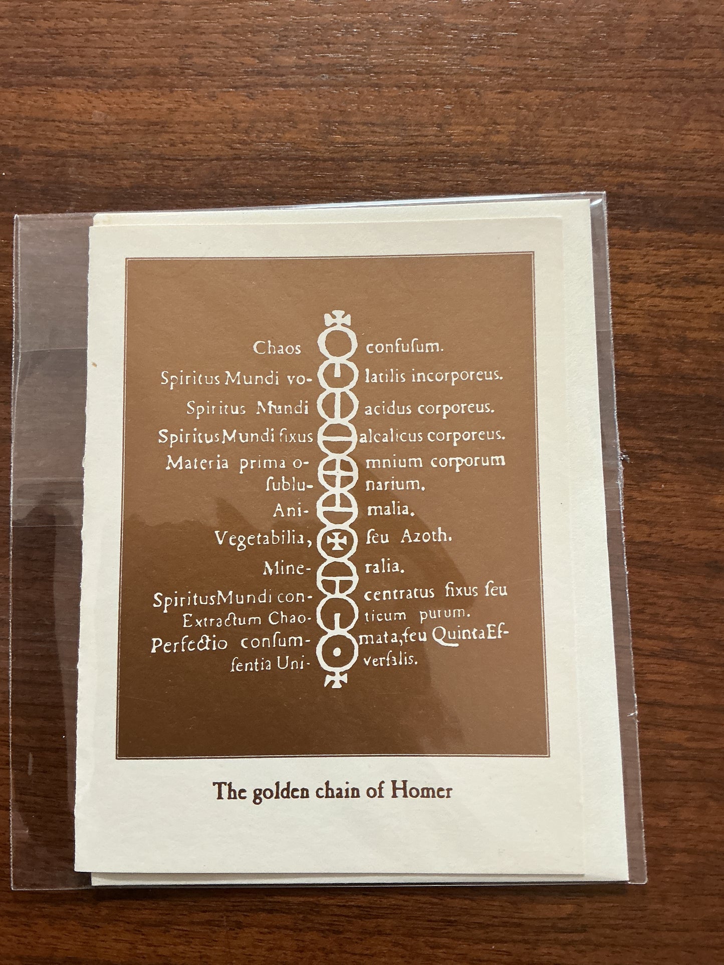 Note Cards by Sarah Bush