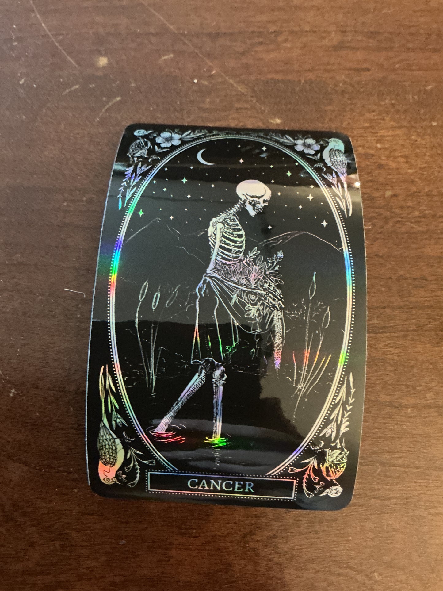Zodiac Signs Holographic stickers
