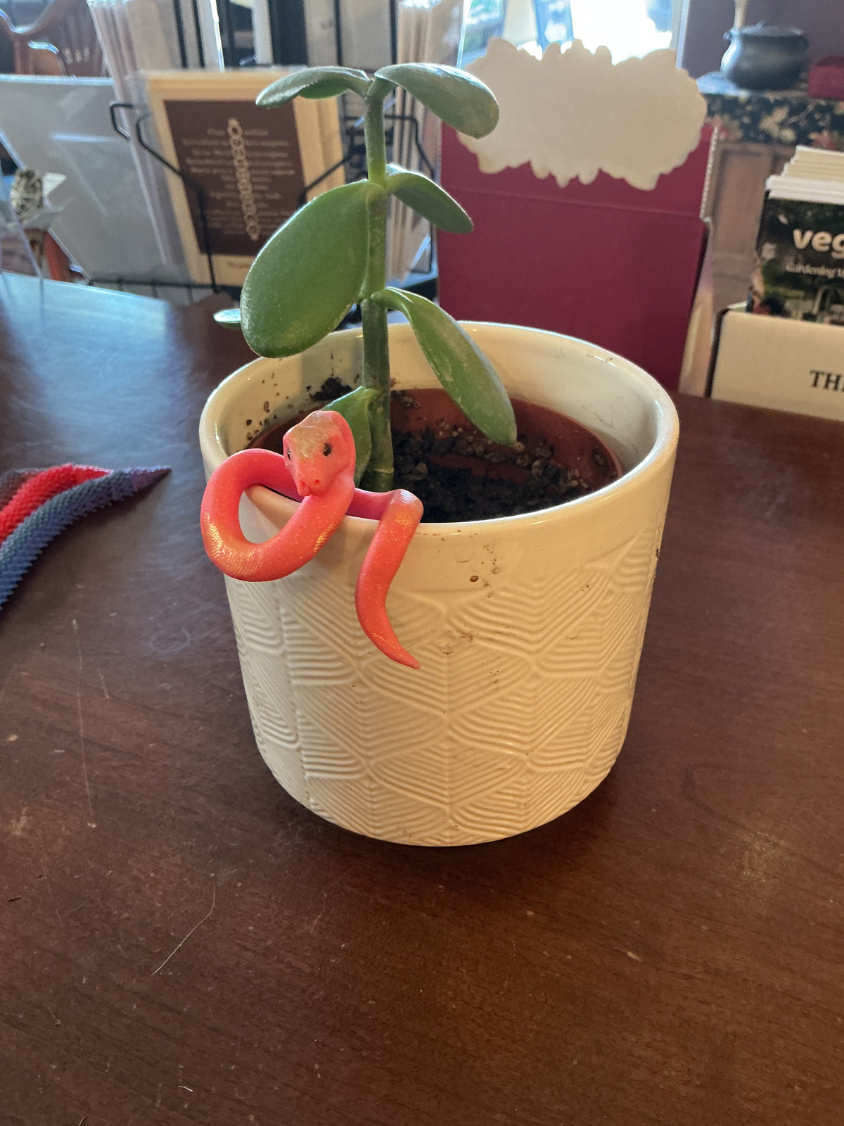 Plant Pot Snakes