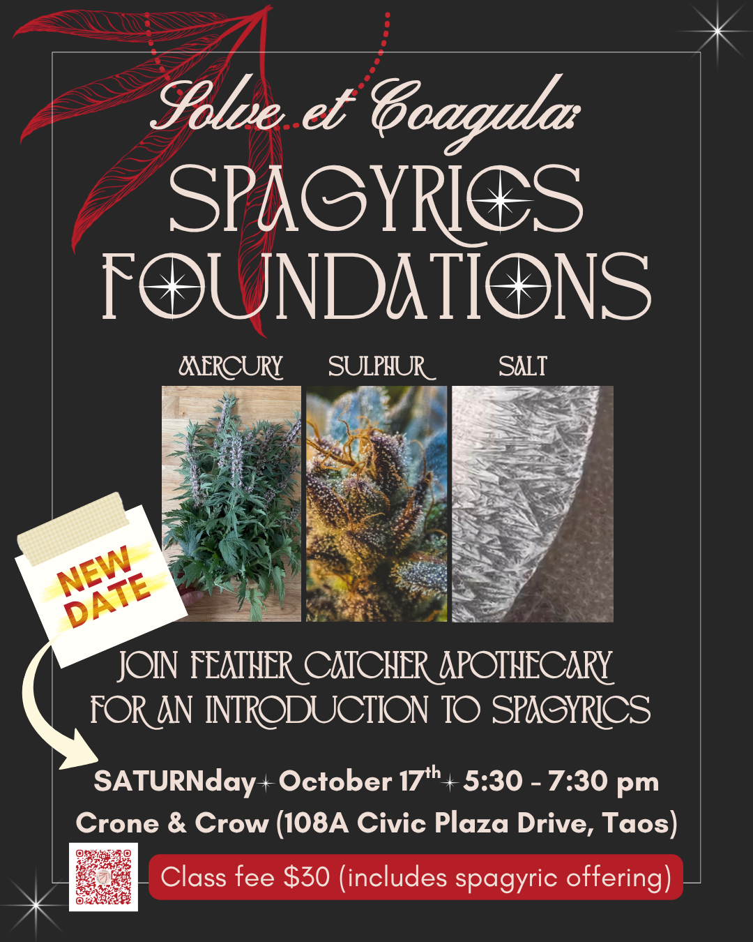 Spagryics Foundations: An introduction to Spagyrics with Feather Catcher Apothecary