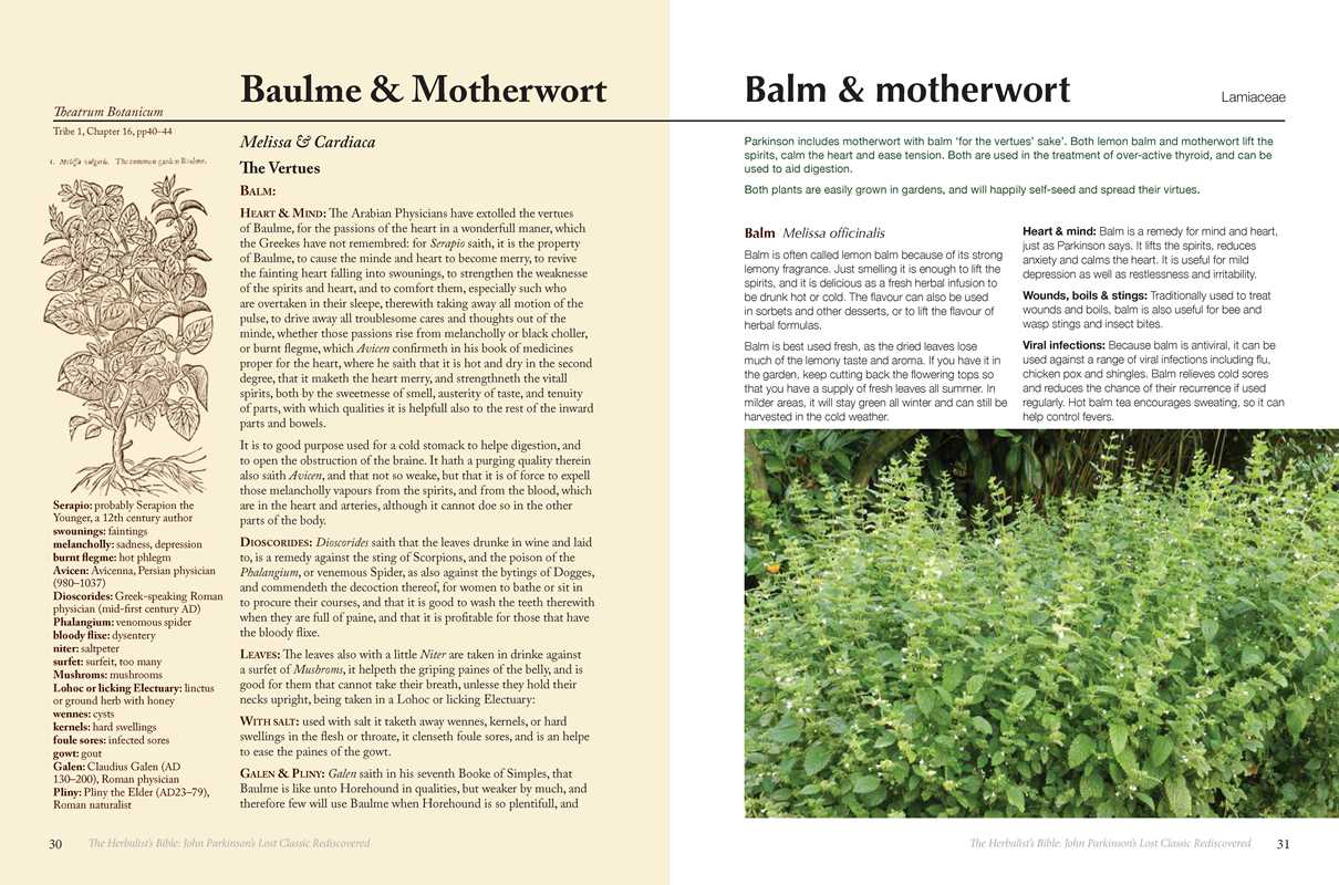 Herbalist's Bible by Julie Bruton-Seal and Matthew Seal