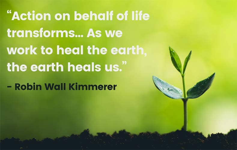 Braiding Sweetgrass By Robin Wall Kimmerer