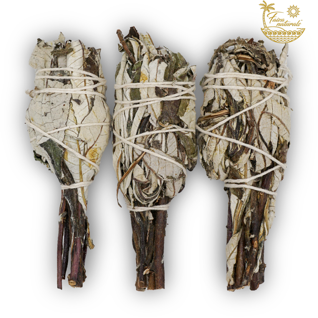 Yerba Santa Torches