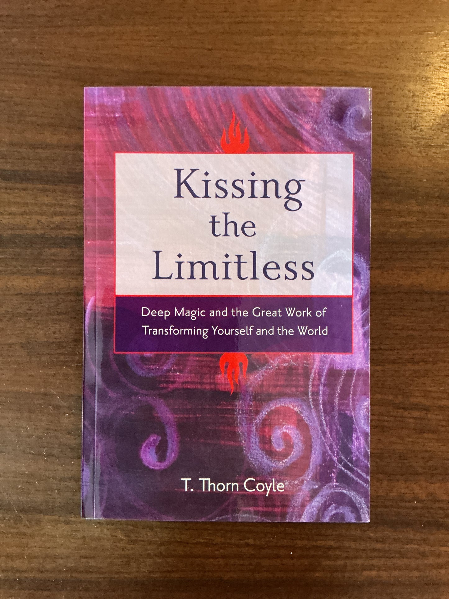 Kissing the Limitless by T. Thorn Coyle