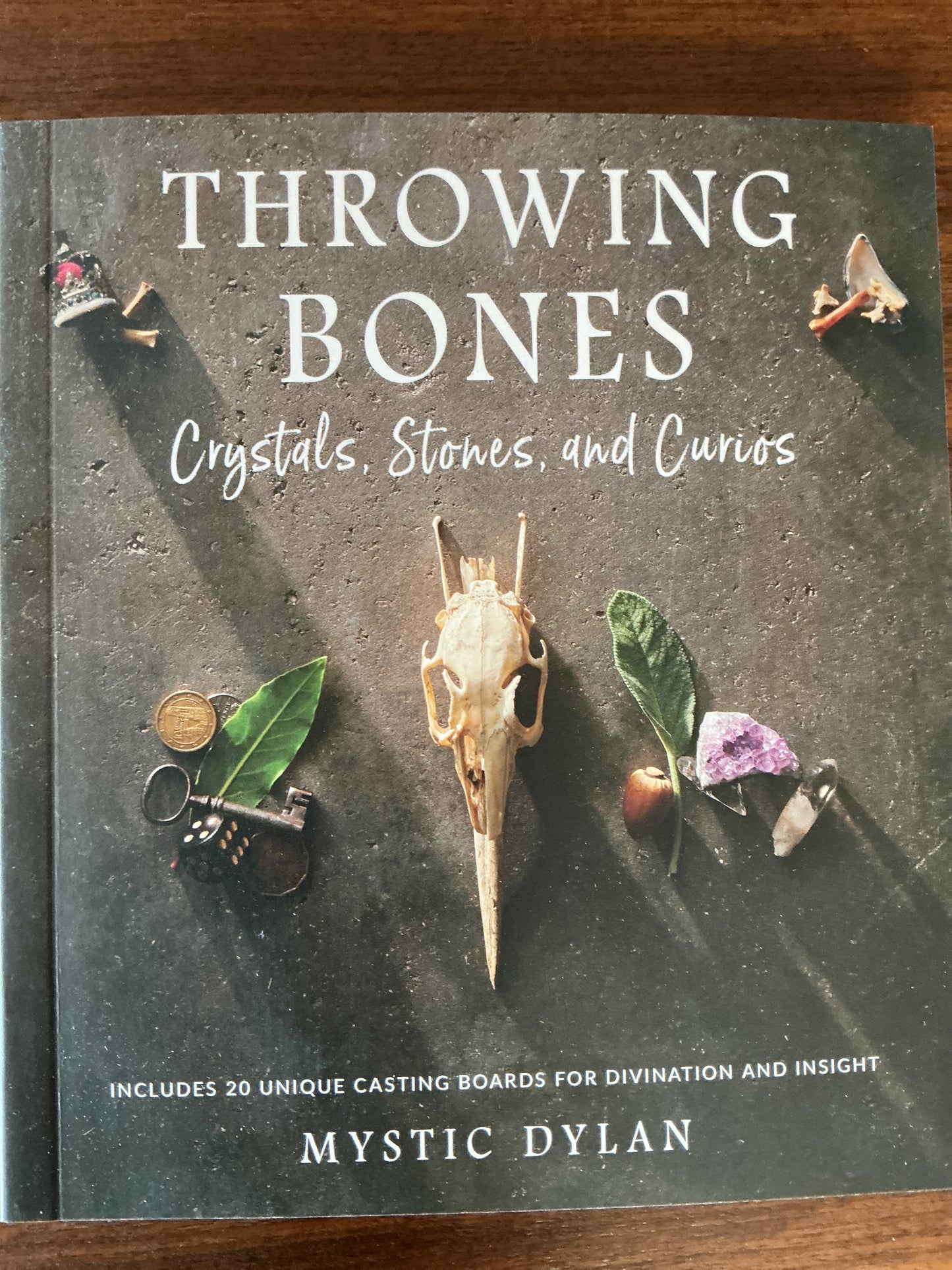 Throwing Bones by Mystic Dylan