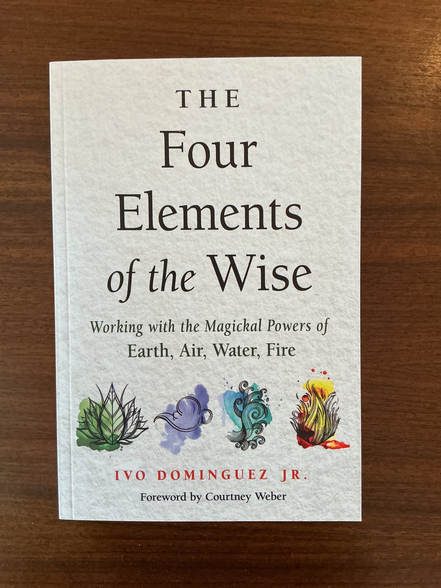 The Four Elements of the Wise by Ivo Dominguez