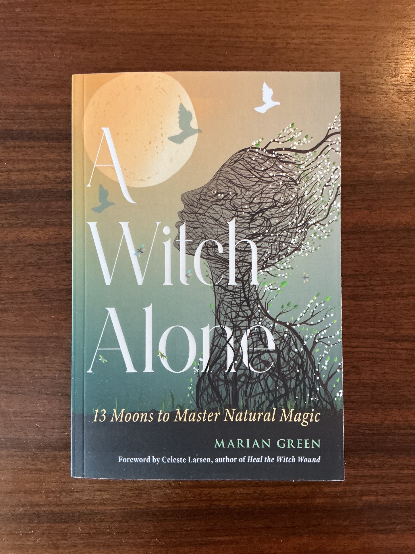 A Witch Alone by Marian Green