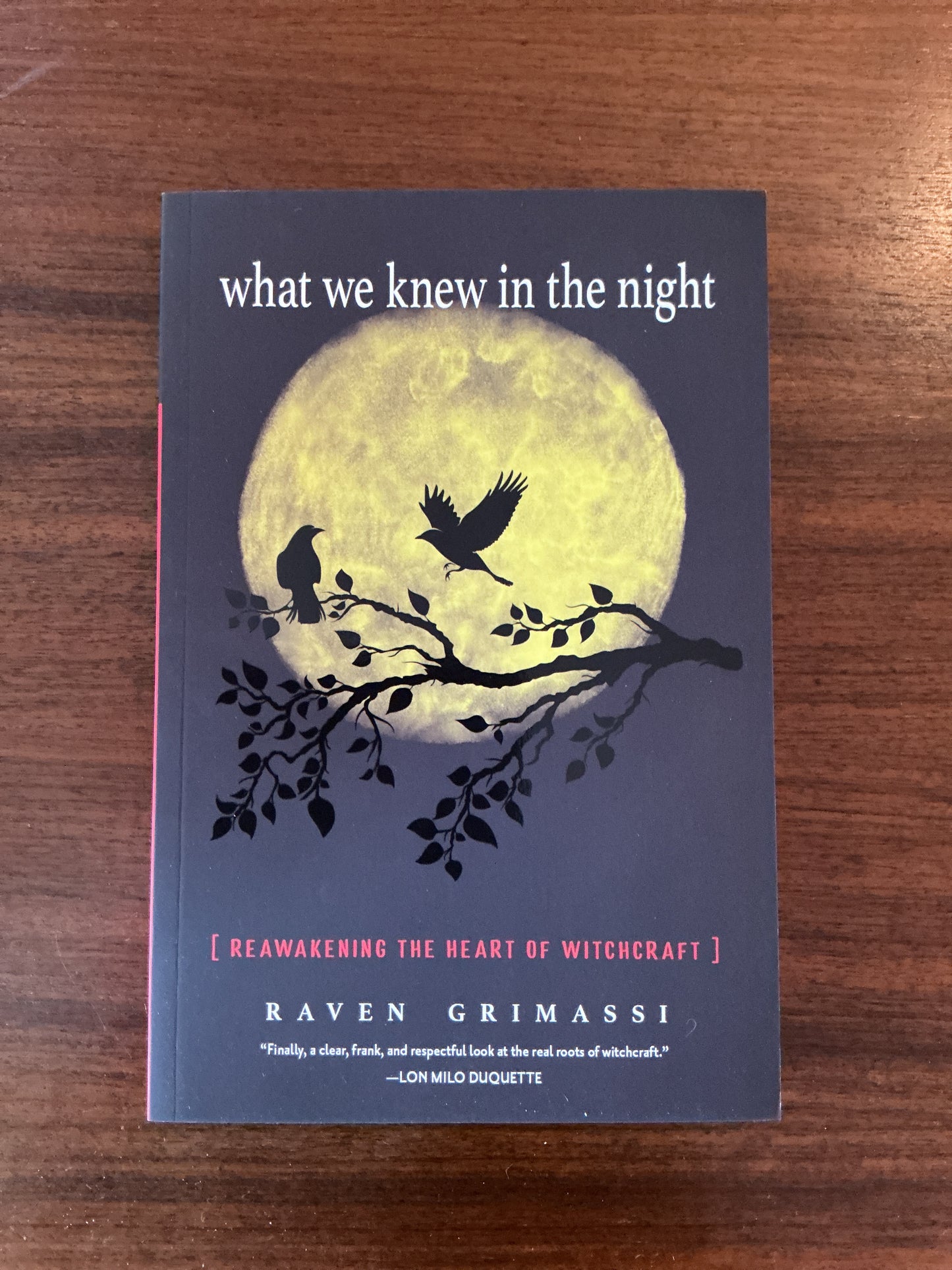 What We Knew in the Night by Raven Grimassi