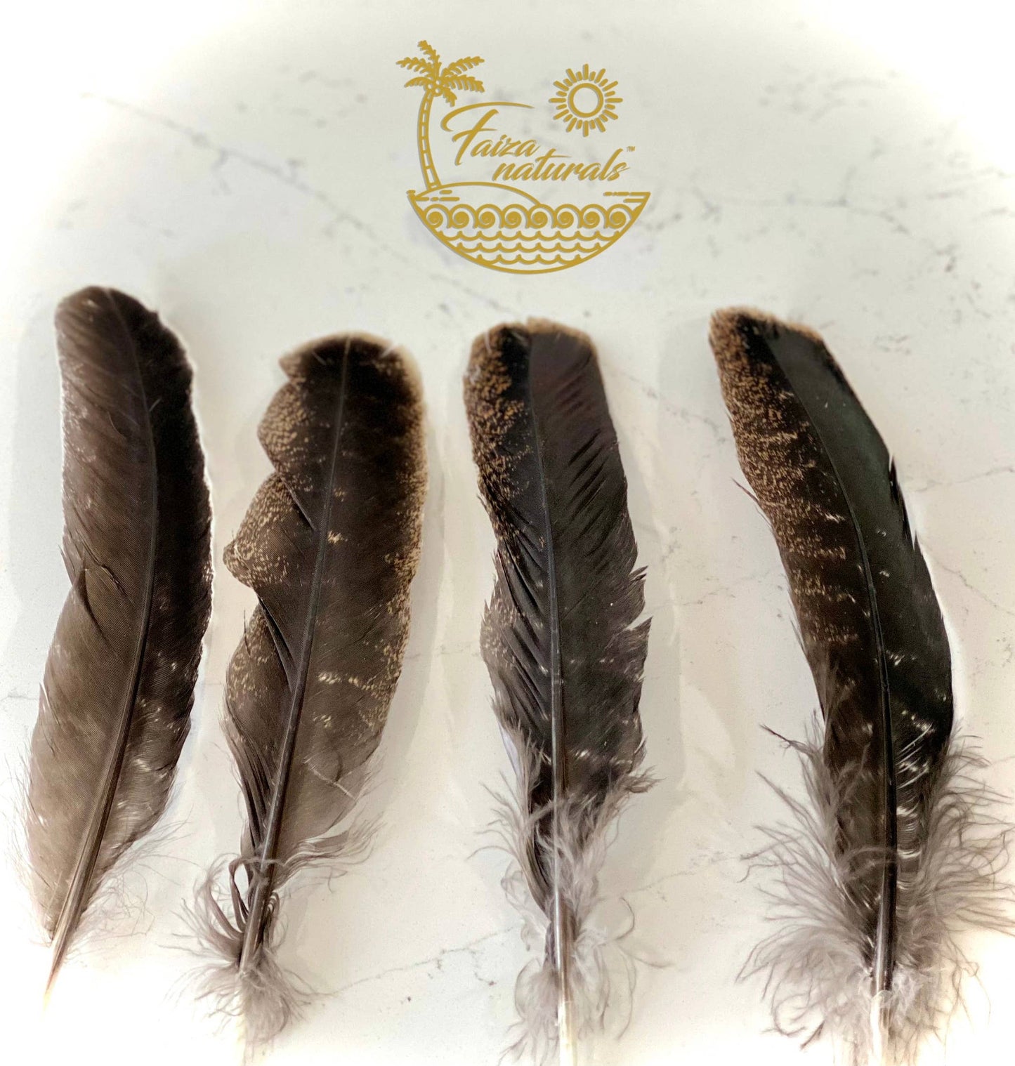 Turkey Feathers