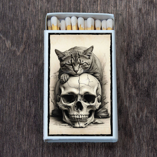 Skull under Cat Matchbox