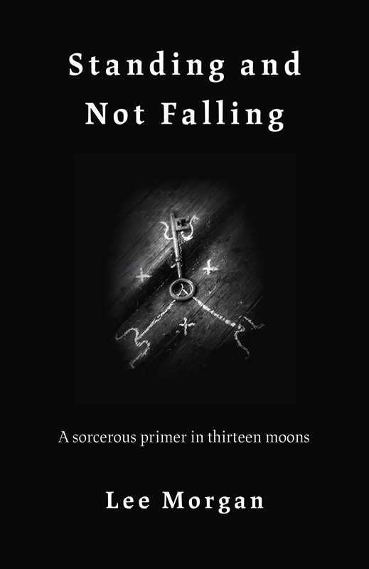 Standing and Not Falling by Lee Morgan