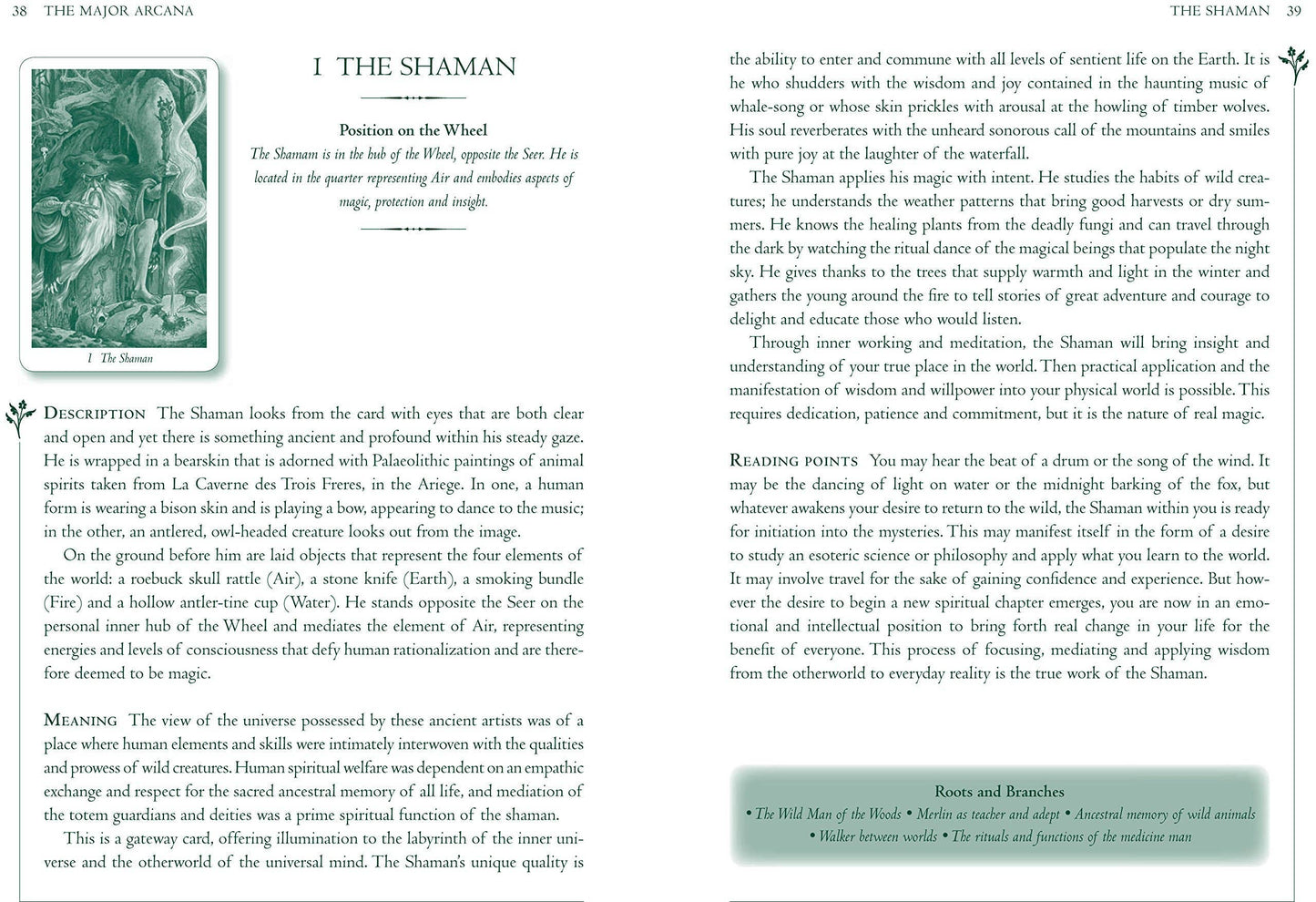 Wildwood Tarot Deck by Mark Ryan and John Matthews