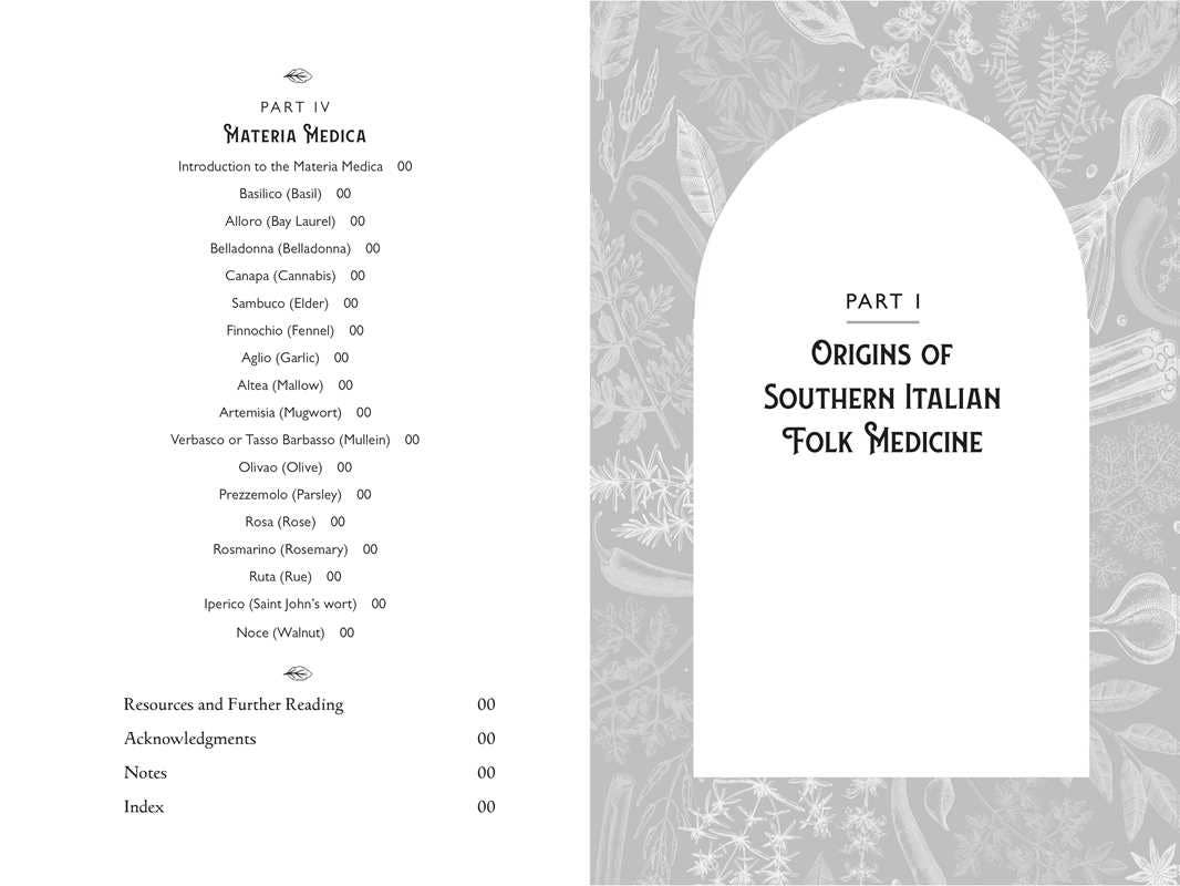 Della Medicina by Lisa Fazio