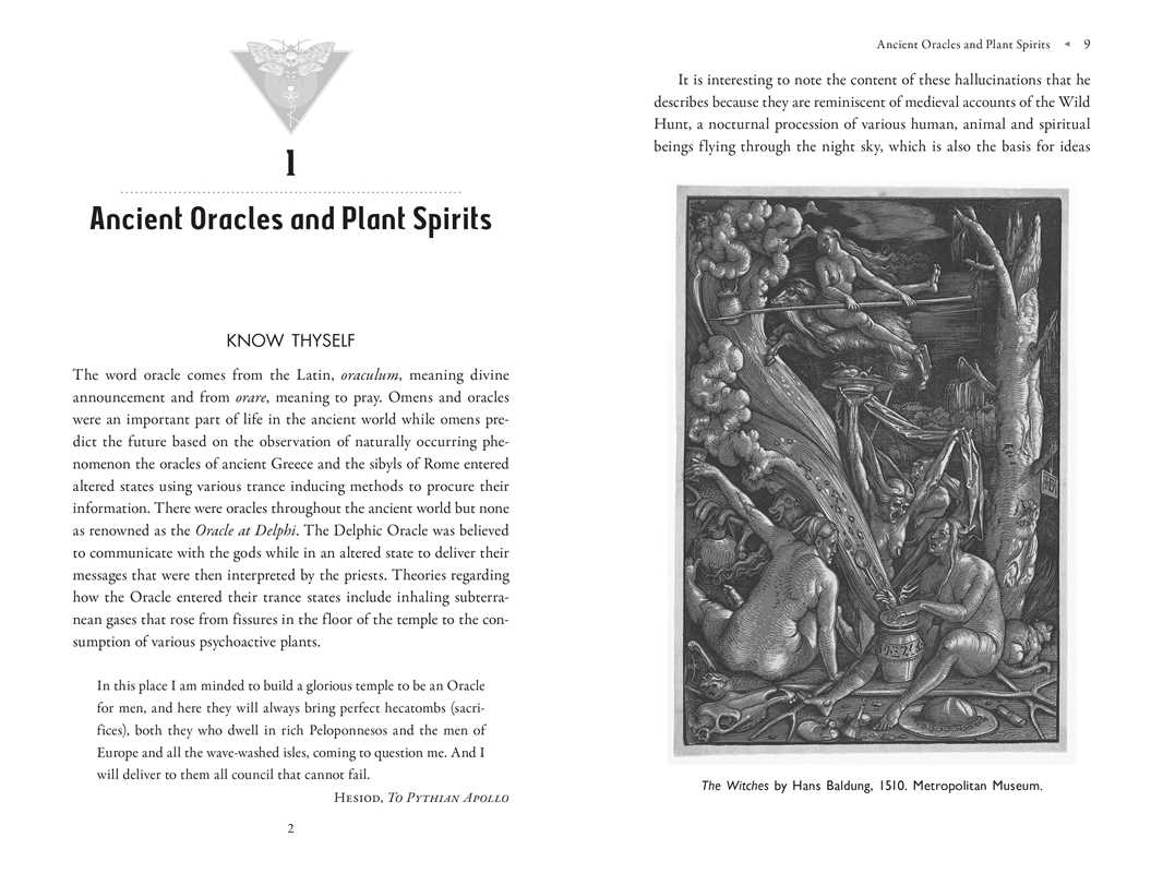 Poison Path Oracle by Coby Michael
