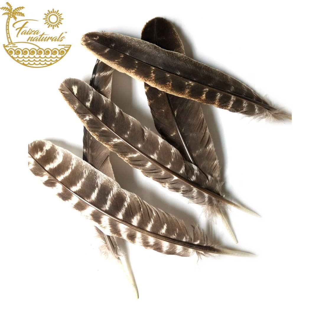 Turkey Feathers