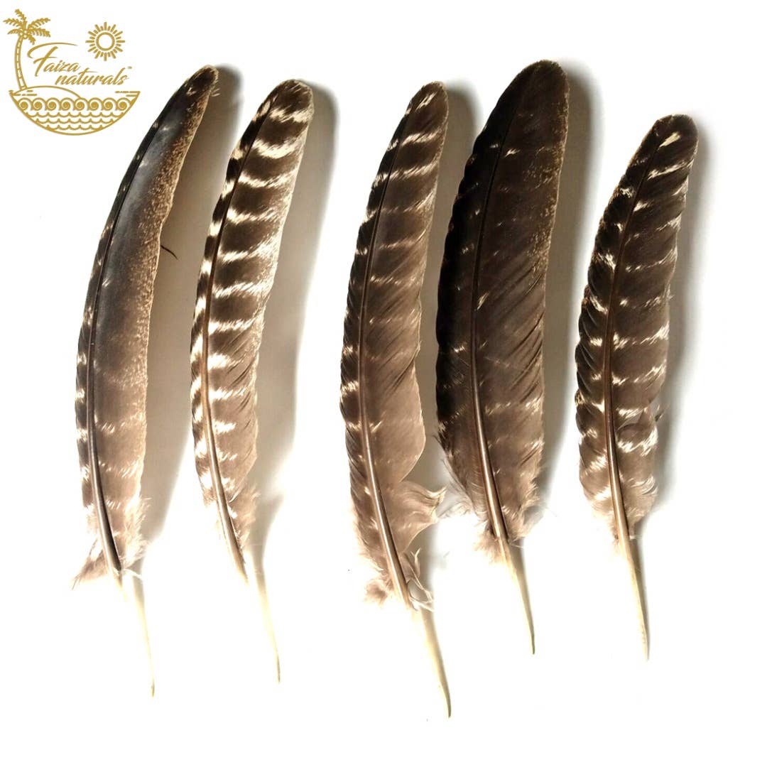 Turkey Feathers