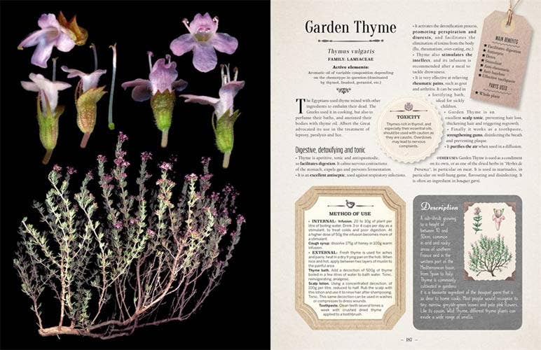 100 Plants That Heal:  Illustrated Herbarium Medicinal Plant by Gerard Debuigne & Francois Couplan
