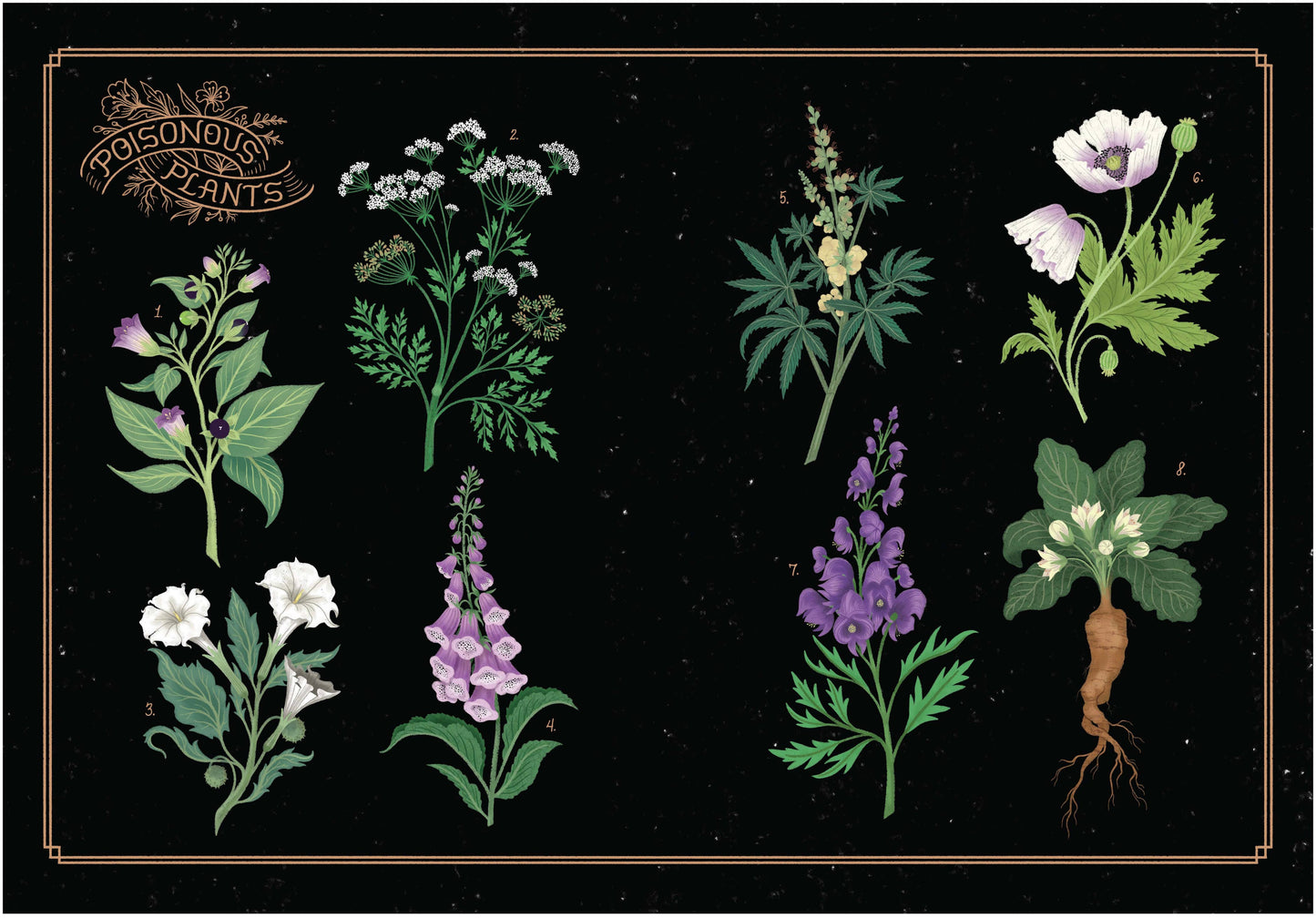 League of Lady Poisoners by Lisa Perrin