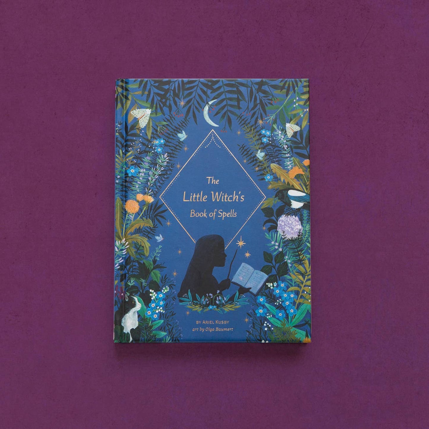 The Little Witch's Book of Spells by Ariel Kusby