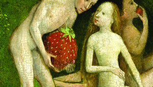 The Hieronymus Bosch Tarot