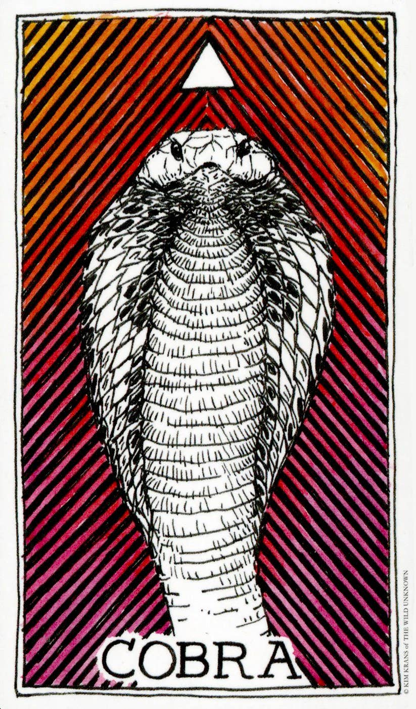 Wild Unknown Animal Spirit Deck and Guidebook by Kim Krans