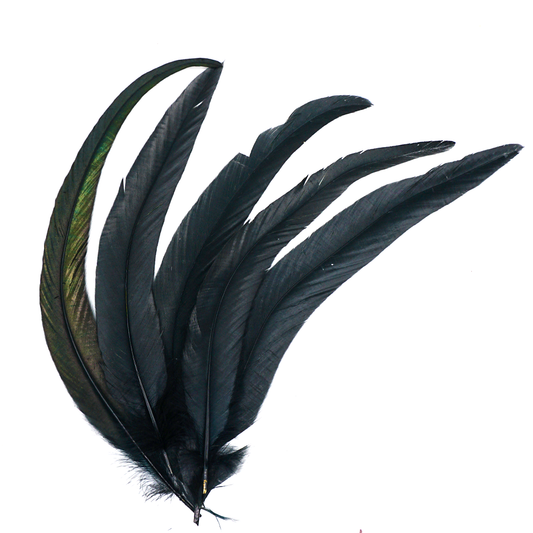 Crow Feathers for Smoke Cleansing