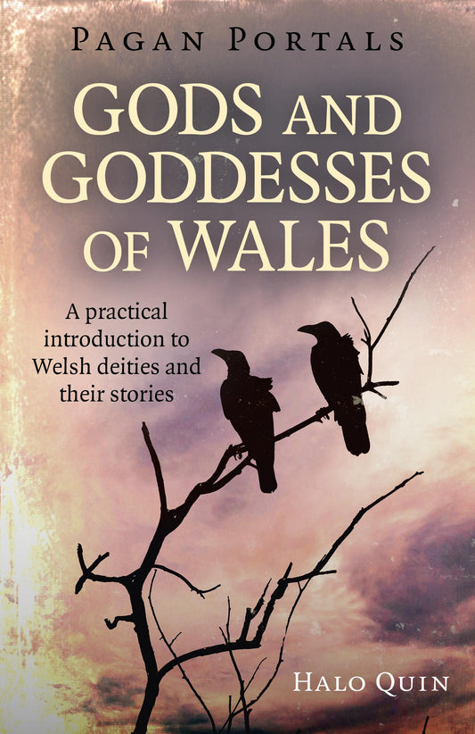 Gods and Goddesses of Wales by Halo Quin - Pagan Portals
