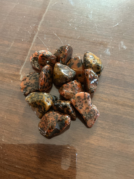 Cheetah Agate tumbled stone