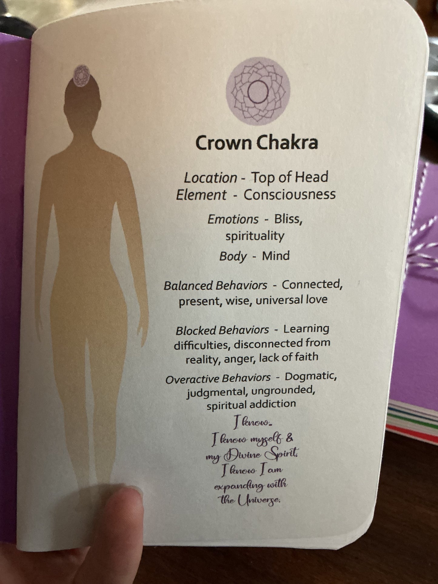 chakra notebook set