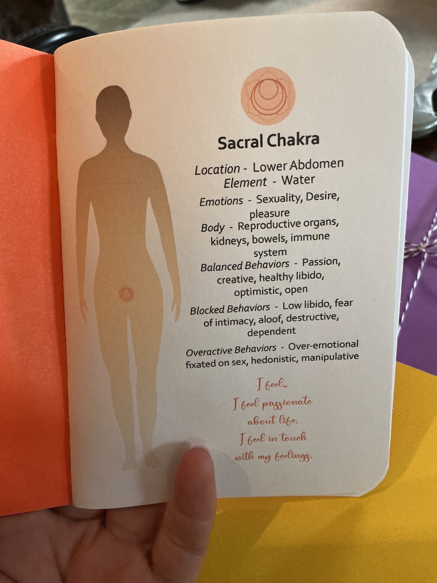 chakra notebook set