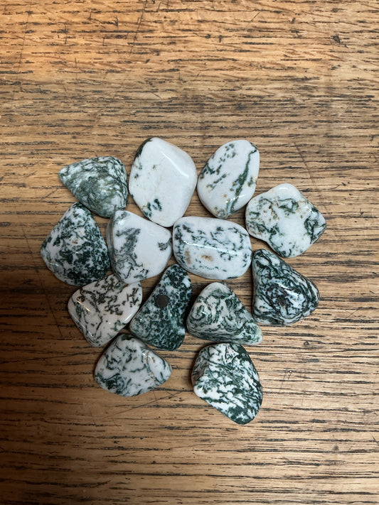 Tree Agate Tumbled Stone