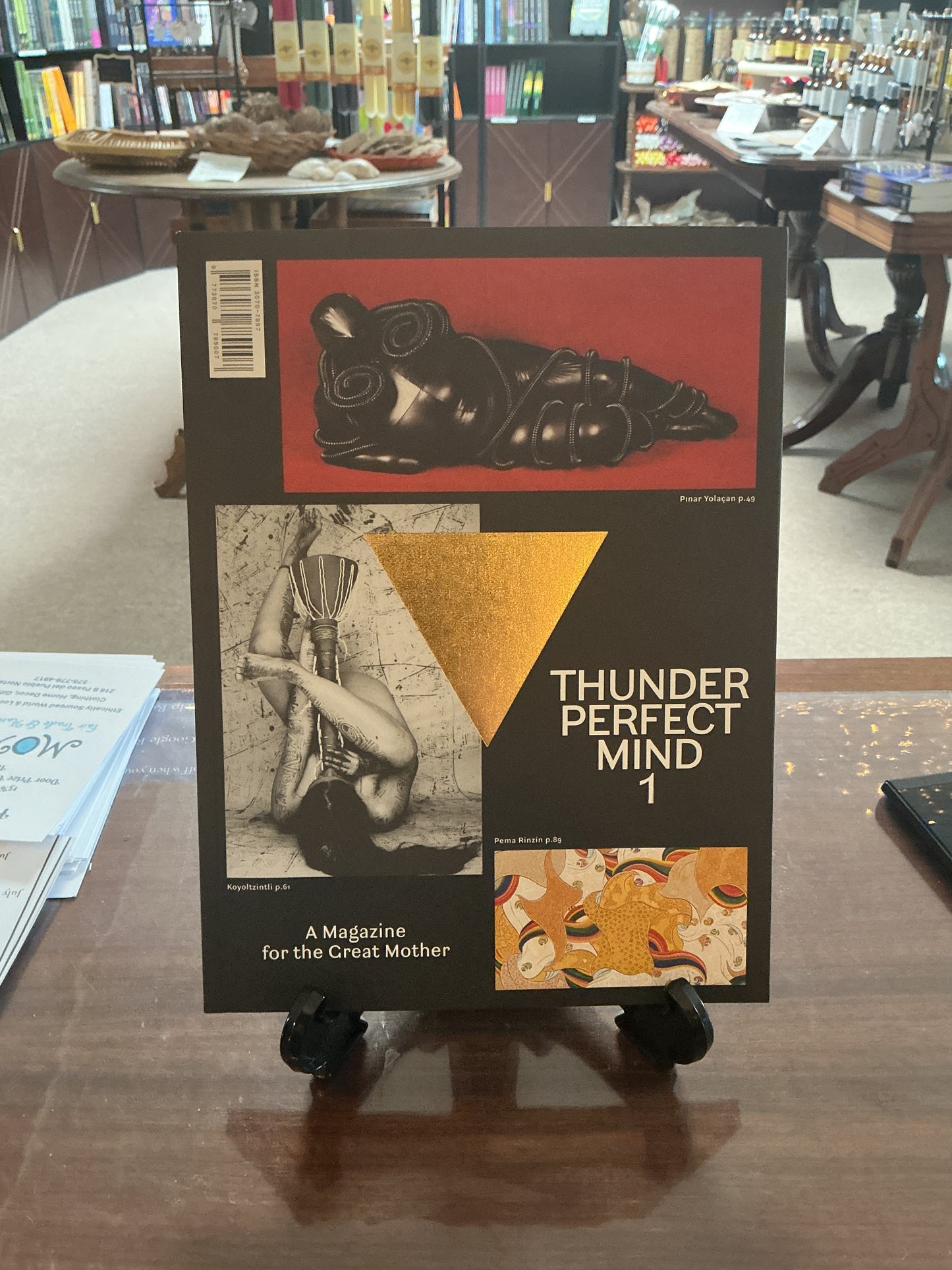 Thunder Perfect Mind 1 Magazine