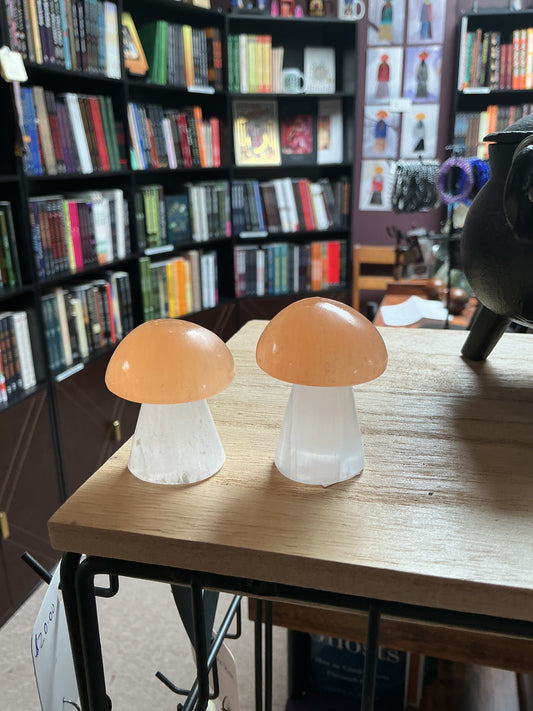 Selenite Mushrooms