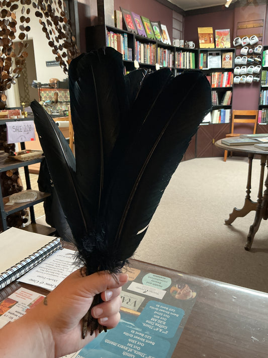 Black Turkey Feather