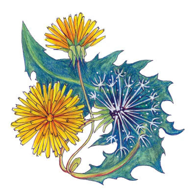Soulflower Intention Setting Temporary Tattoos