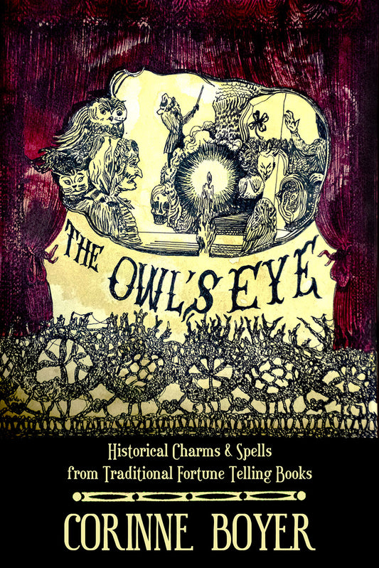 The Owl's Eye by Corinne Boyer