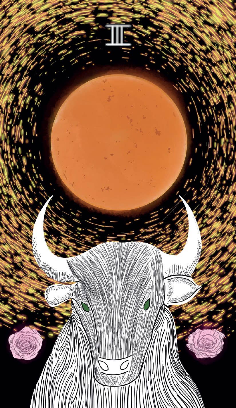 The Sacred Web Tarot by Jannie Bui Brown