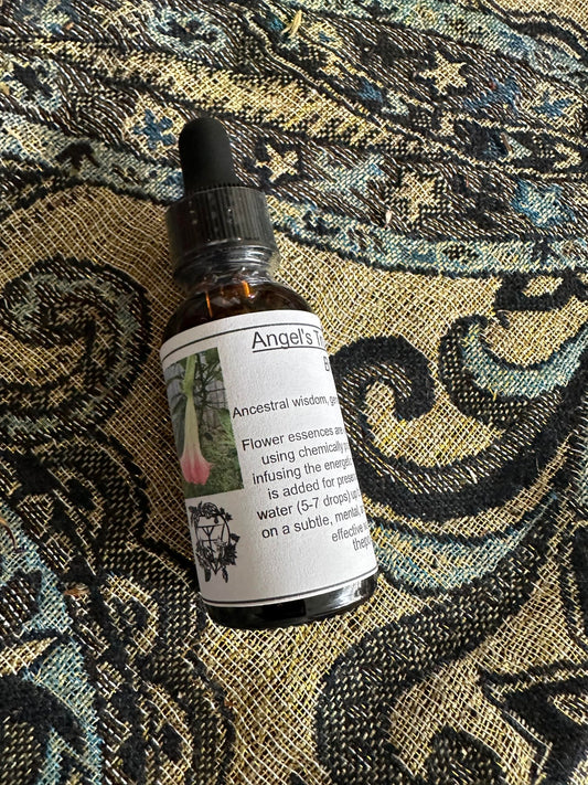 Brugmanisa Flower Essence