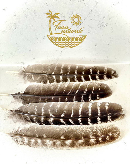 Turkey Feathers