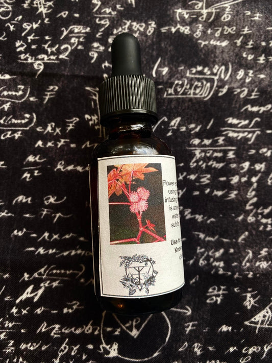 Castor Plant Flower Essence