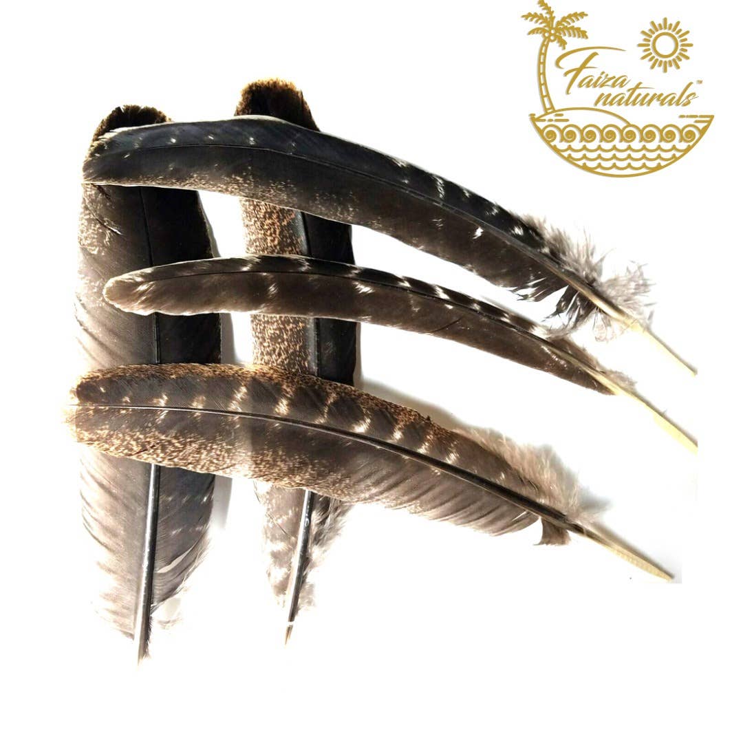 Turkey Feathers