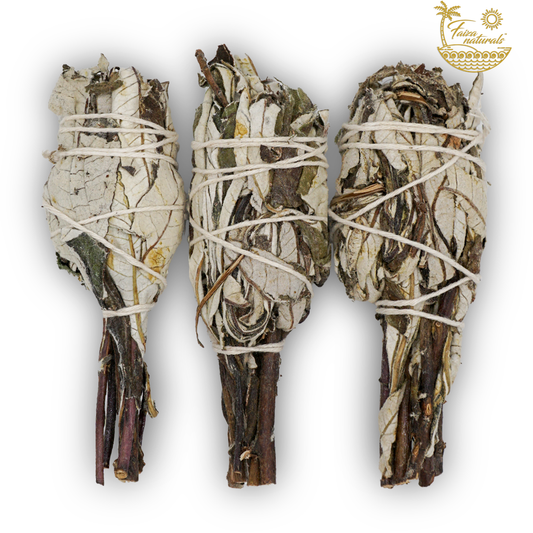 Yerba Santa Torches