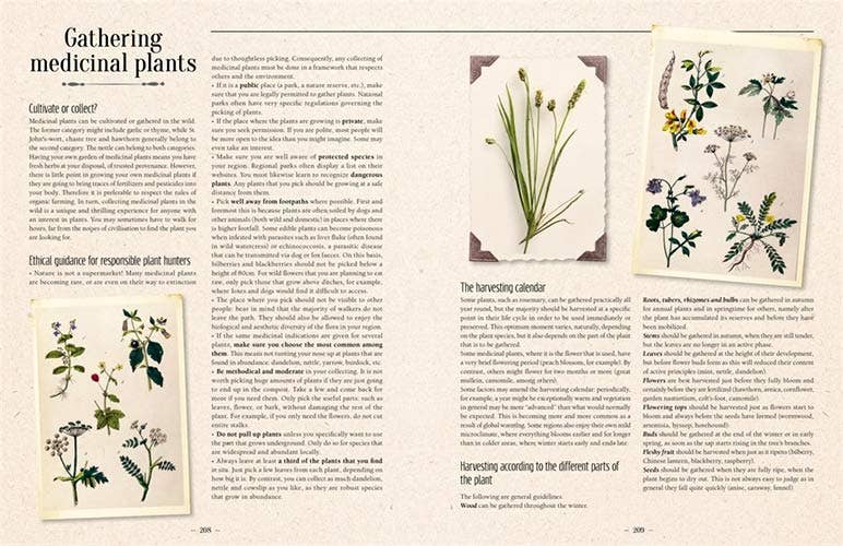 100 Plants That Heal:  Illustrated Herbarium Medicinal Plant by Gerard Debuigne & Francois Couplan