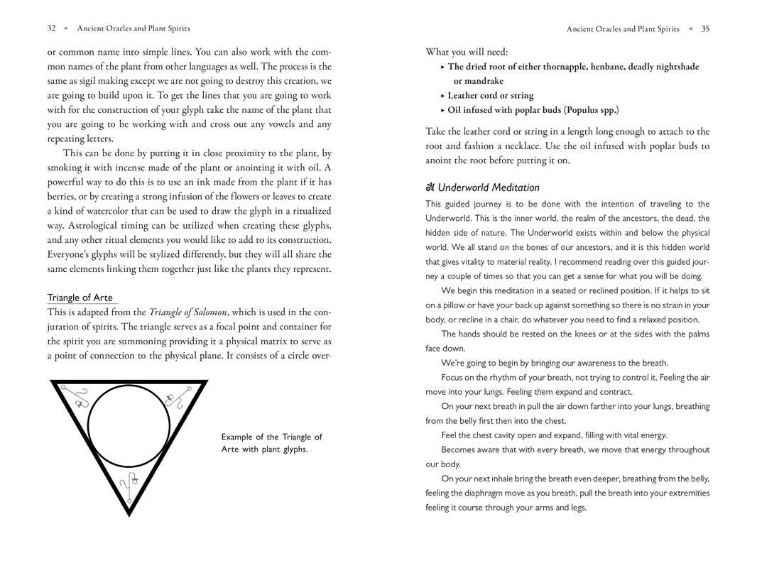 Poison Path Oracle by Coby Michael